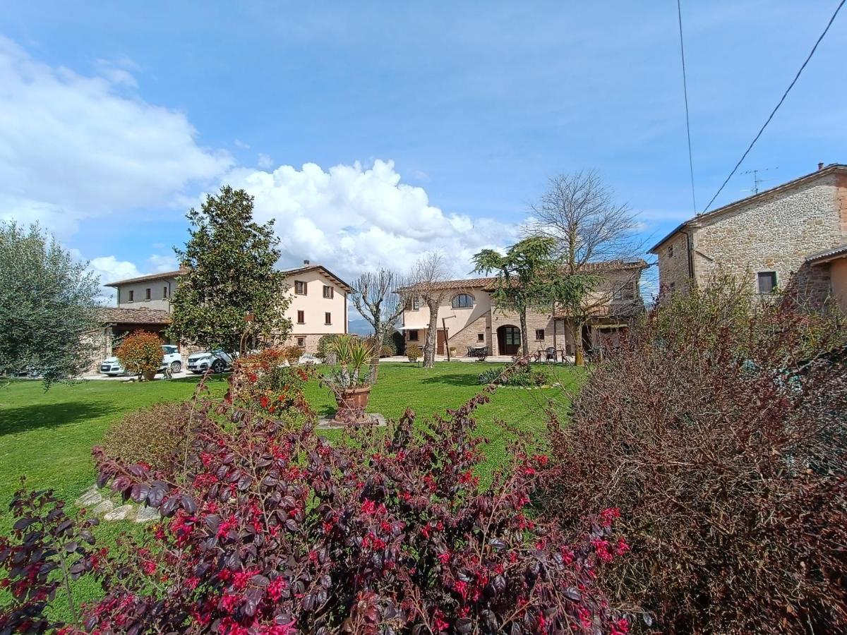 Podere Casenove Citerna Luaran gambar